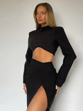 Sexy Solid Slim Two-piece Skirt Set, Crop Mock Neck Top & High Split Pleated Skirt Outfits, Women's Clothing