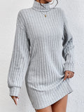 vlovelaw  Solid Color Long Sleeve Ribbed Dress, Casual Turtle Neck Dress For Spring & Fall, Women's Clothing