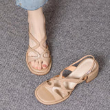 Summer New Foreign Trade Beach Roman Shoes Wholesale Open Toe Cross Hollow Back Strap Platform High Heel Sandals for Women