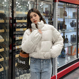 Winter European and American down cotton-padded women's short small stand-up collar thickened cotton-padded women's cotton-padded jacket ins bread jacket