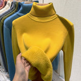 Fleece and thickened integrated fleece sweater women's winter thick mink fleece warm top turtleneck bottoming shirt women's autumn and winter inner trendy