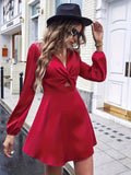 vlovelaw Twist Cut Out Dress, Elegant Long Sleeve Dress For Party & Banquet, Women's Clothing