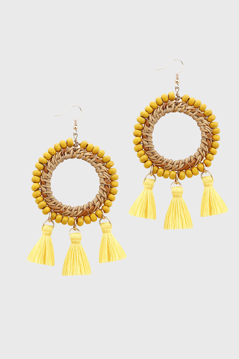 Fashion Earrings