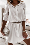 Fashion Casual Solid Patchwork POLO collar One Step Skirt Dresses